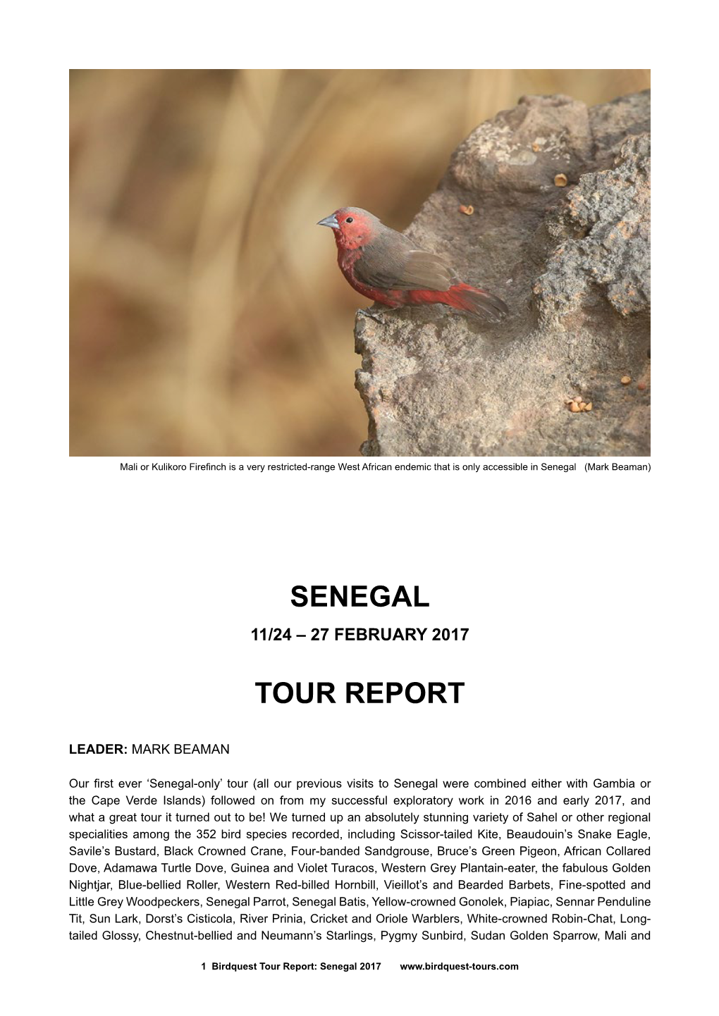 Senegal Tour Report