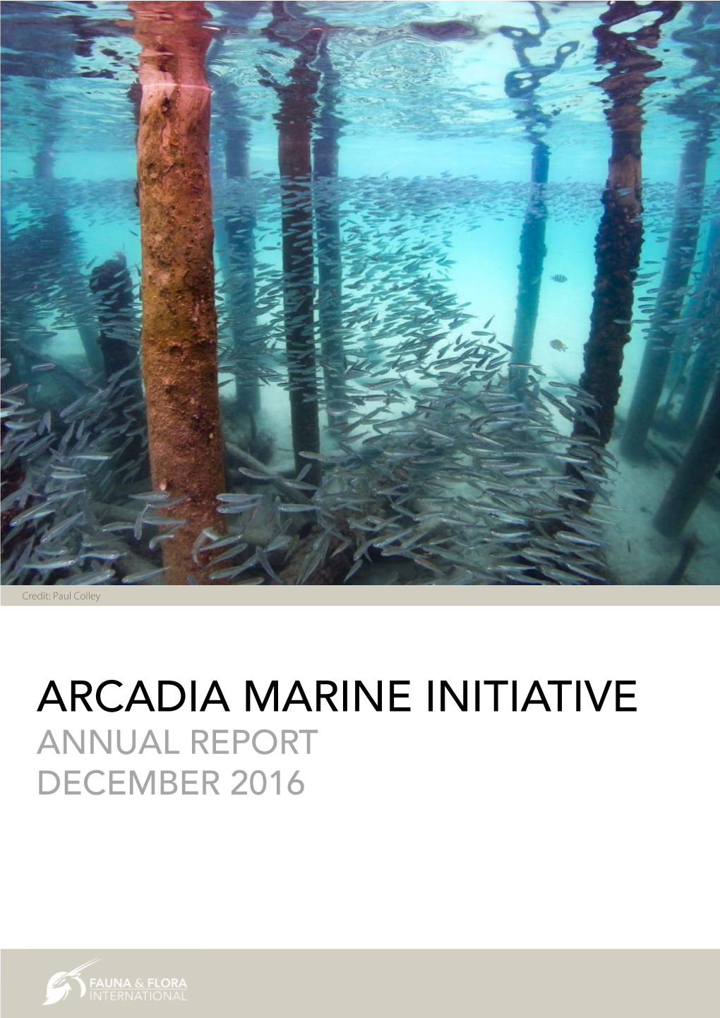 ARCADIA MARINE INITIATIVE ANNUAL REPORT DECEMBER 2016 Coral and a School of Fish, Myanmar