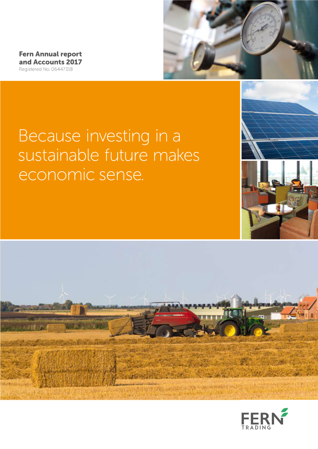 Because Investing in a Sustainable Future Makes Economic Sense. 1 OVERVIEW Financial Highlights 3 Fern Group at a Glance 4