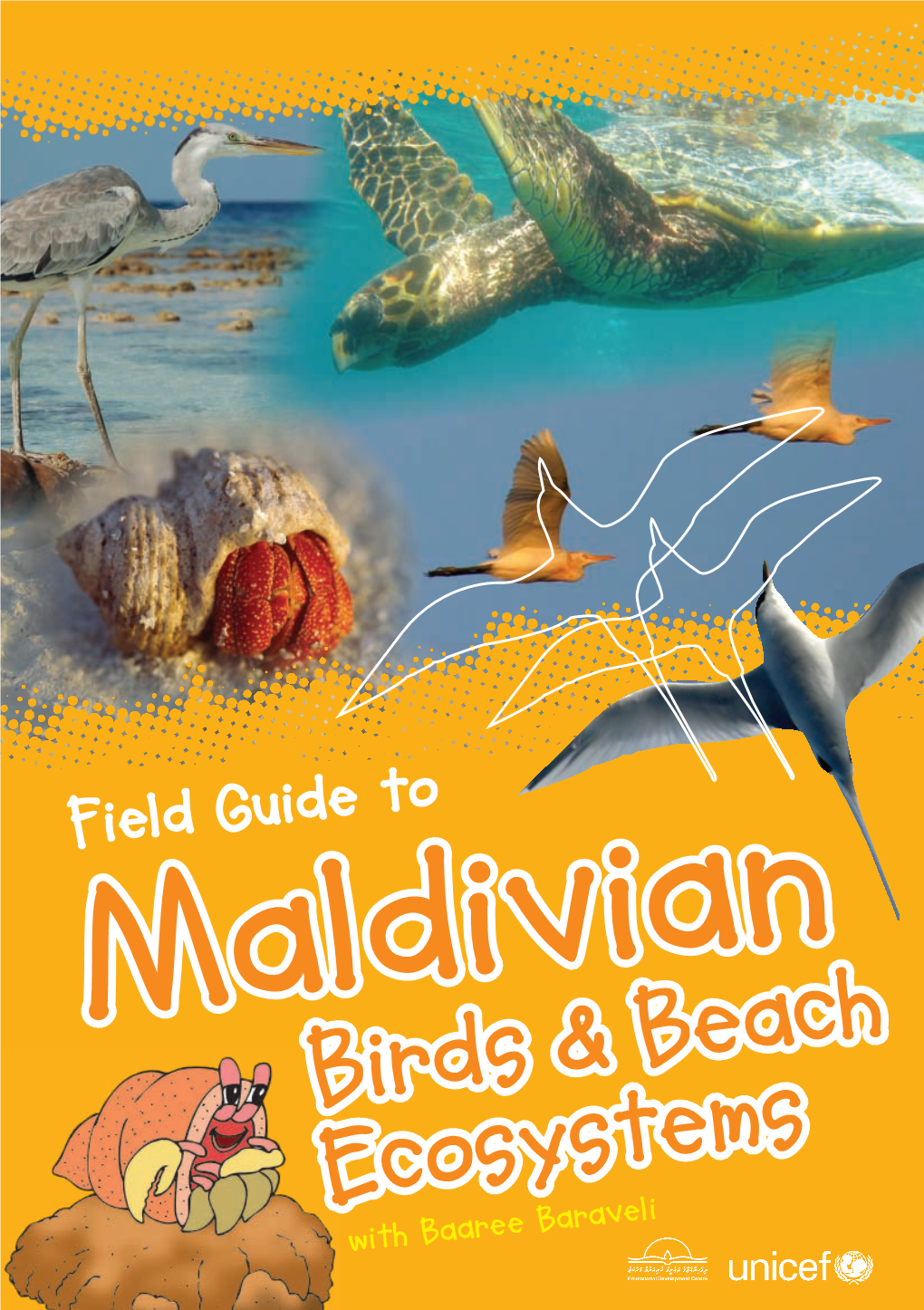 Field Guide to Maldivian Birds and Beach Ecosystems