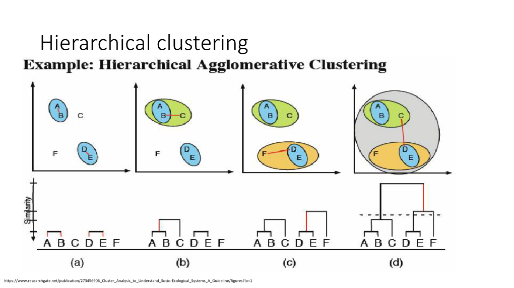 Hierarchical Clustering