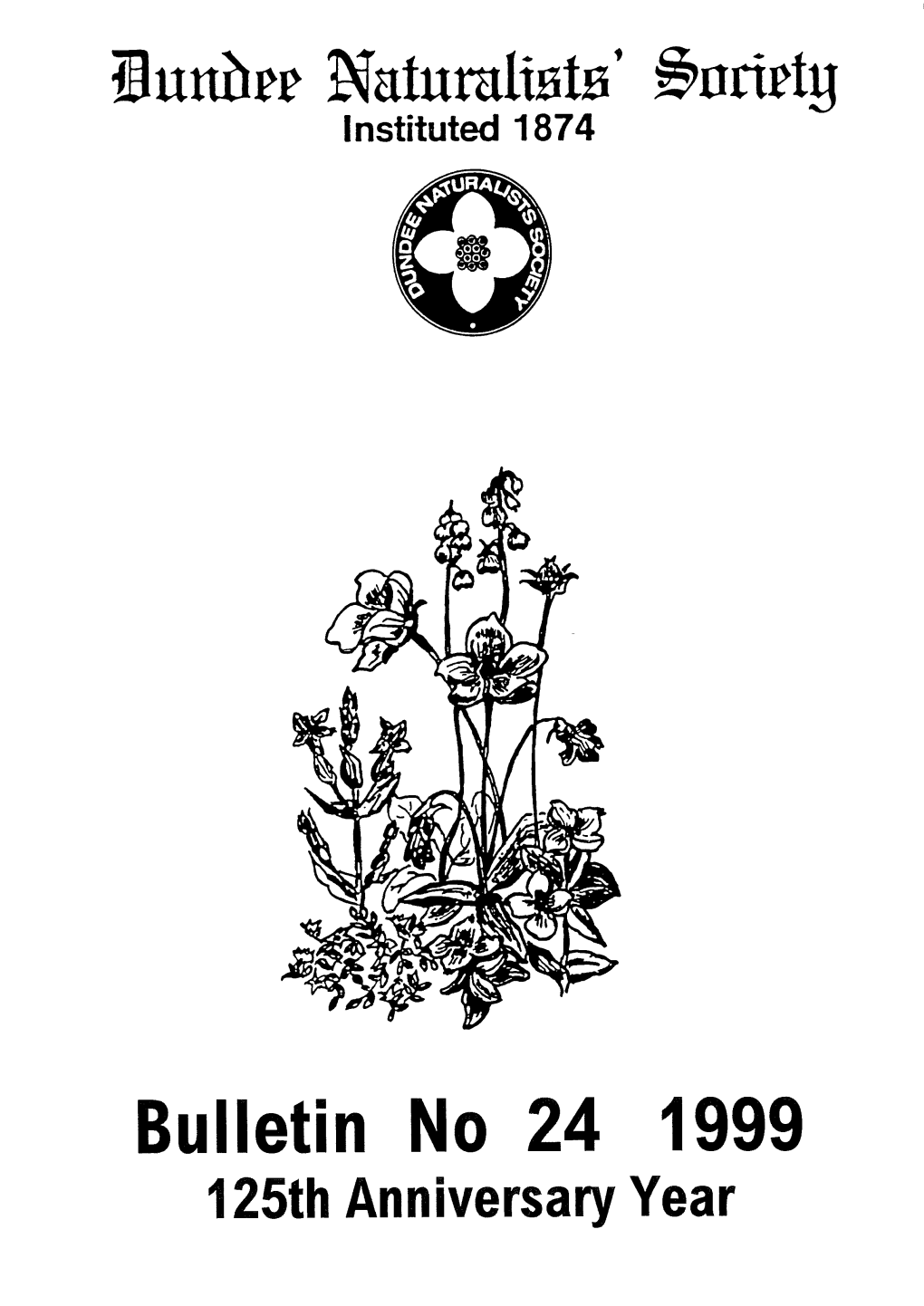 Annual Bulletin 24 – 1999