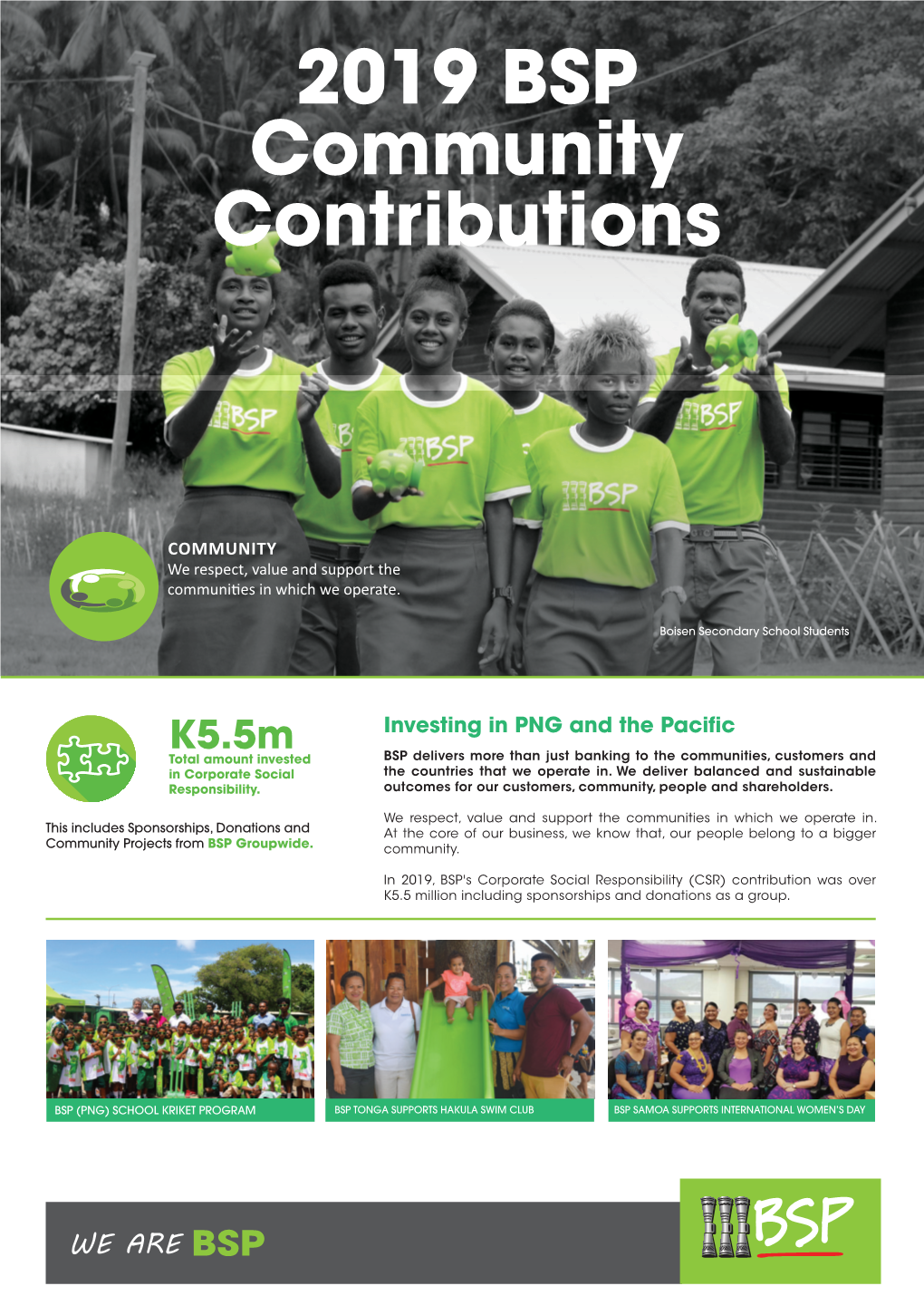 2019 BSP Community Contributions