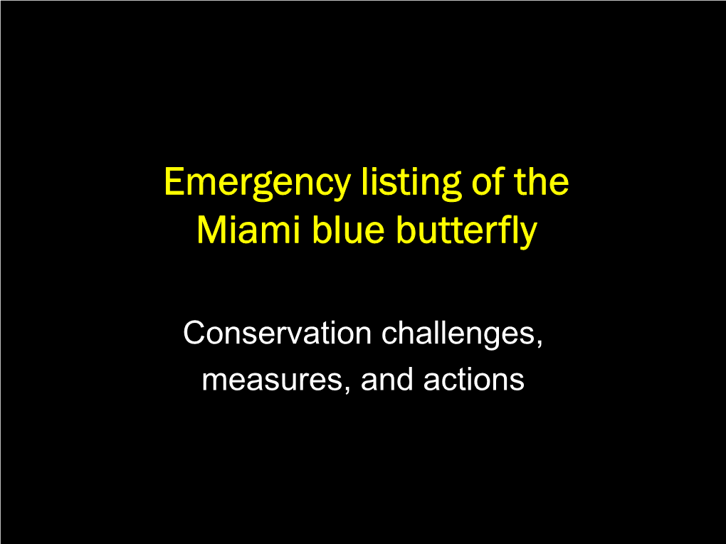 Emergency Listing of the Miami Blue Butterfly
