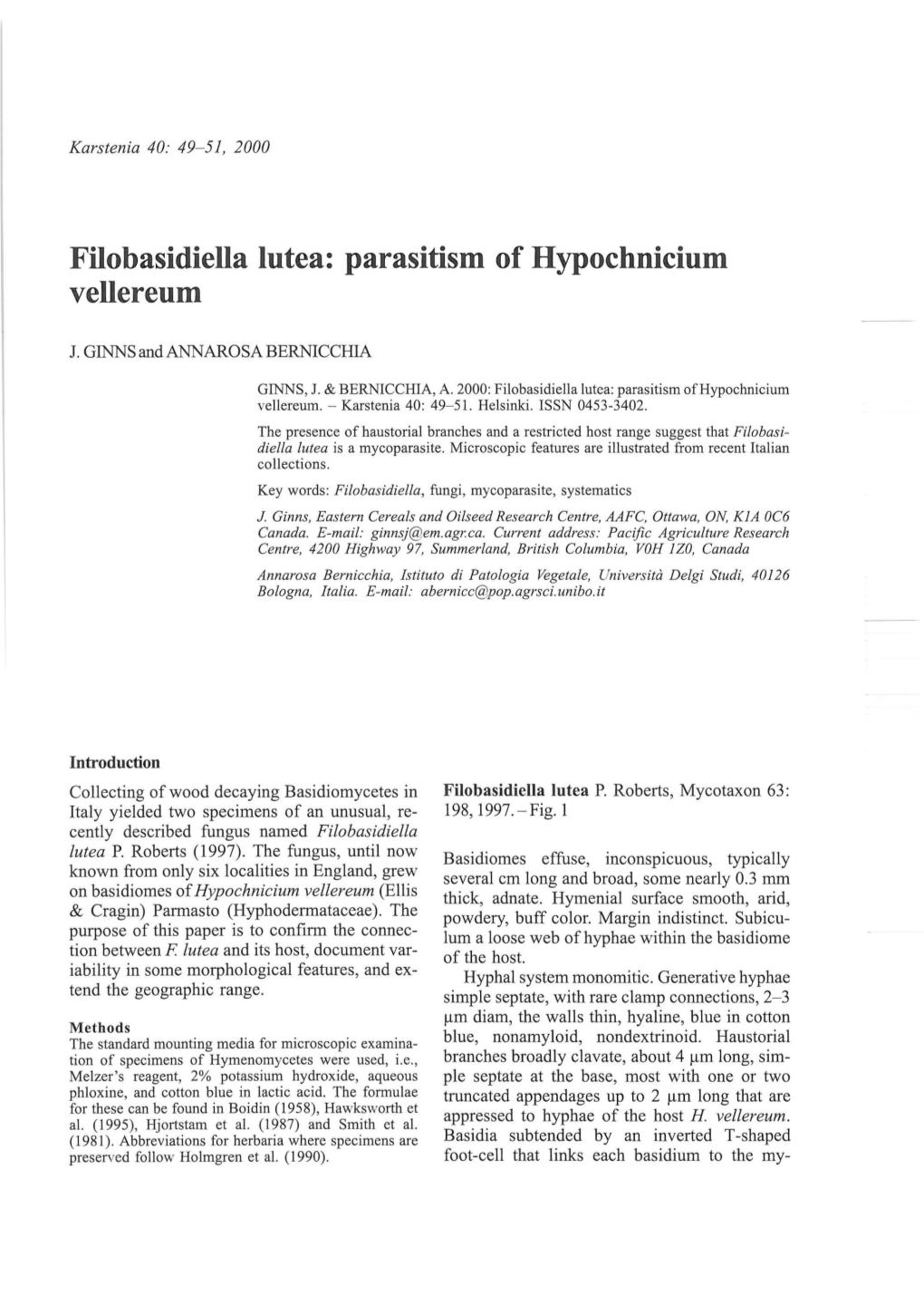 Filobasidiella Lutea: Parasitism of Hypochnicium Venereum