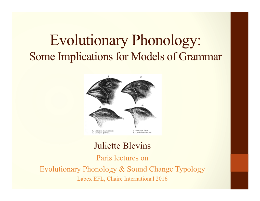 Evolutionary Phonology: Some Implications for Models of Grammar