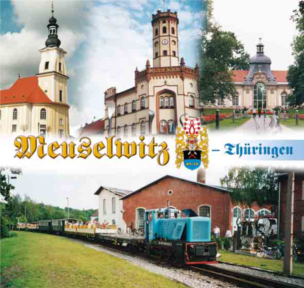 Stadt Meuselwitz