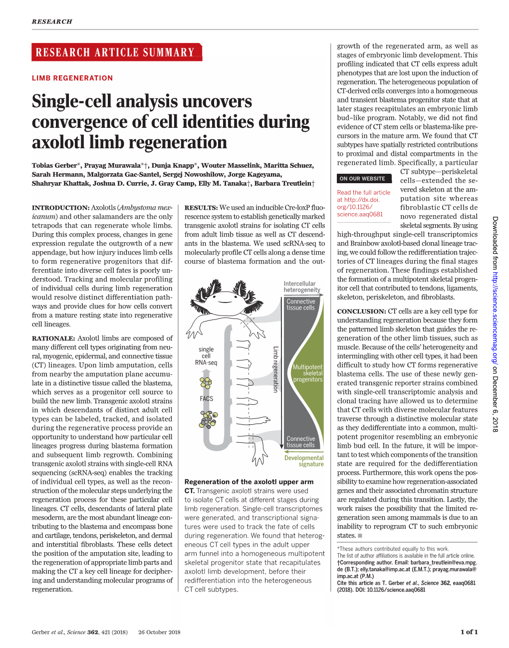 Single-Cell Analysis Uncovers Convergence of Cell Identities