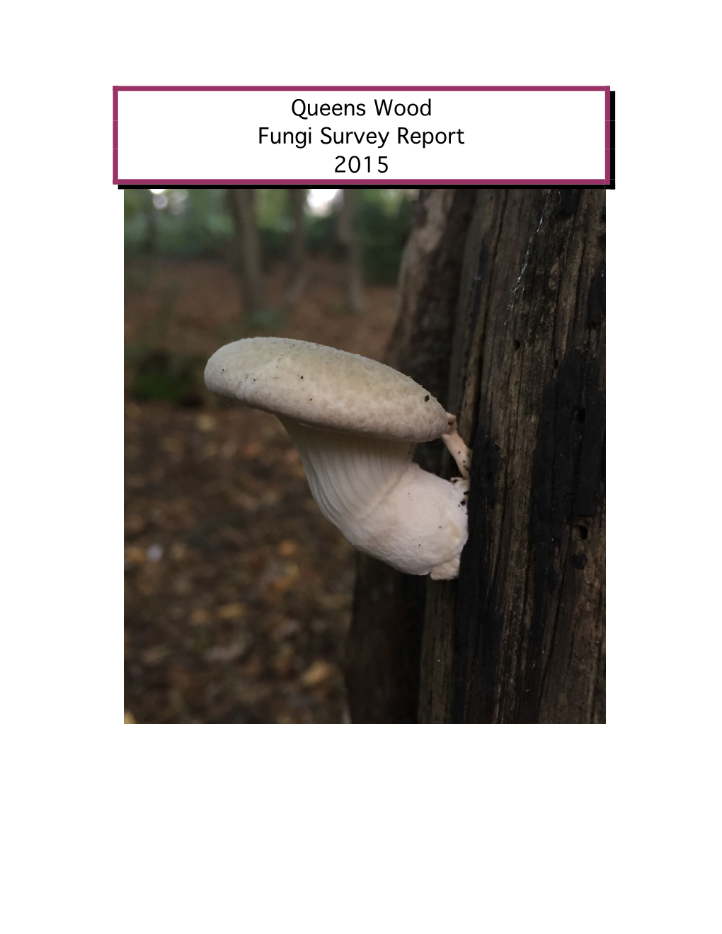 Queens Wood Fungi Survey Report 2015