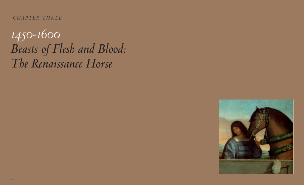 Beasts of Flesh and Blood: the Renaissance Horse