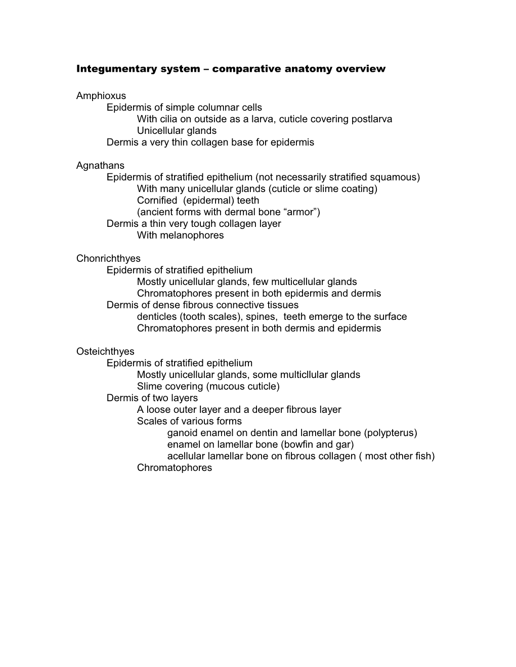 Integumentary System Comparative Anatomy Overview