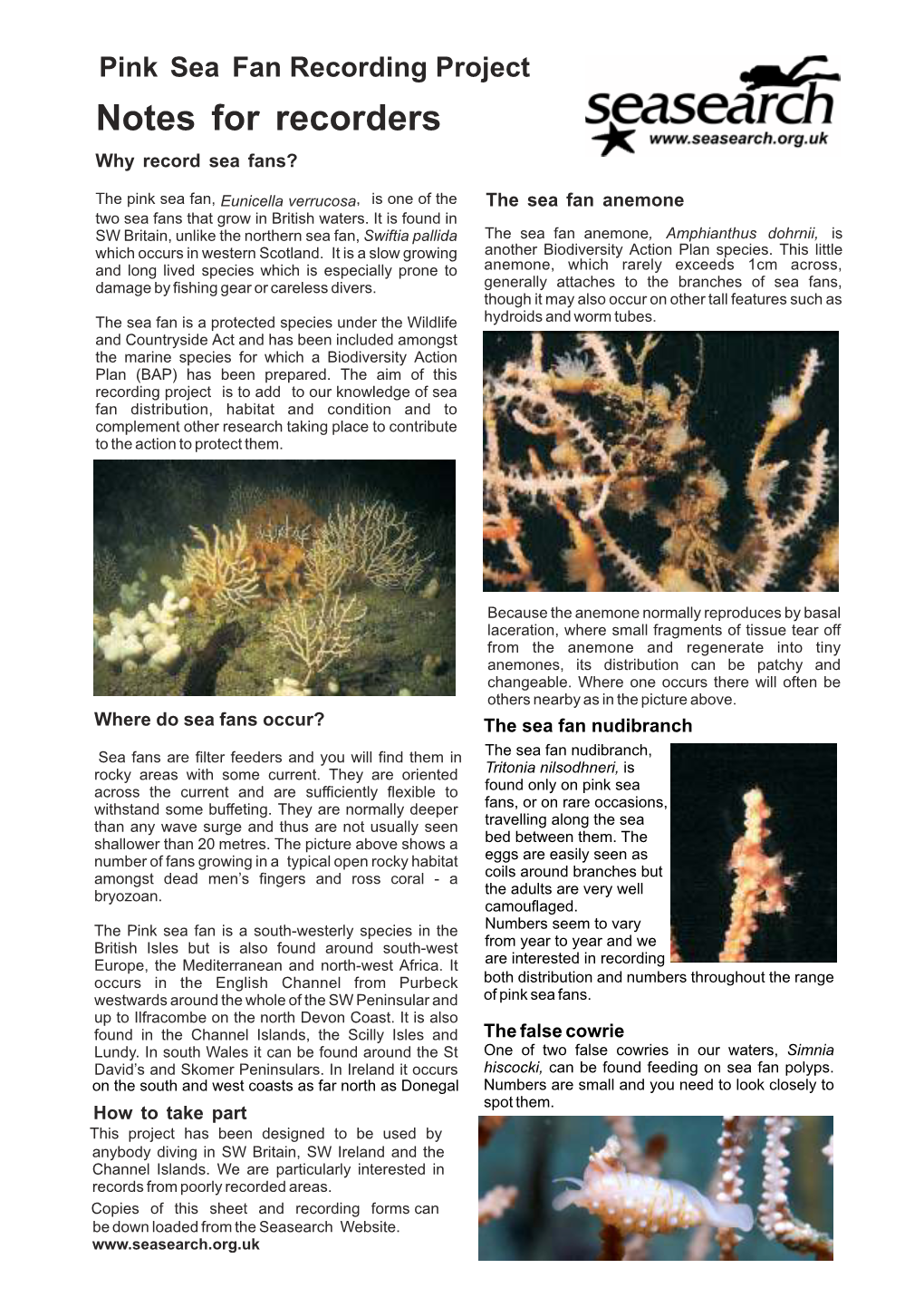 Notes for Recorders Why Record Sea Fans?