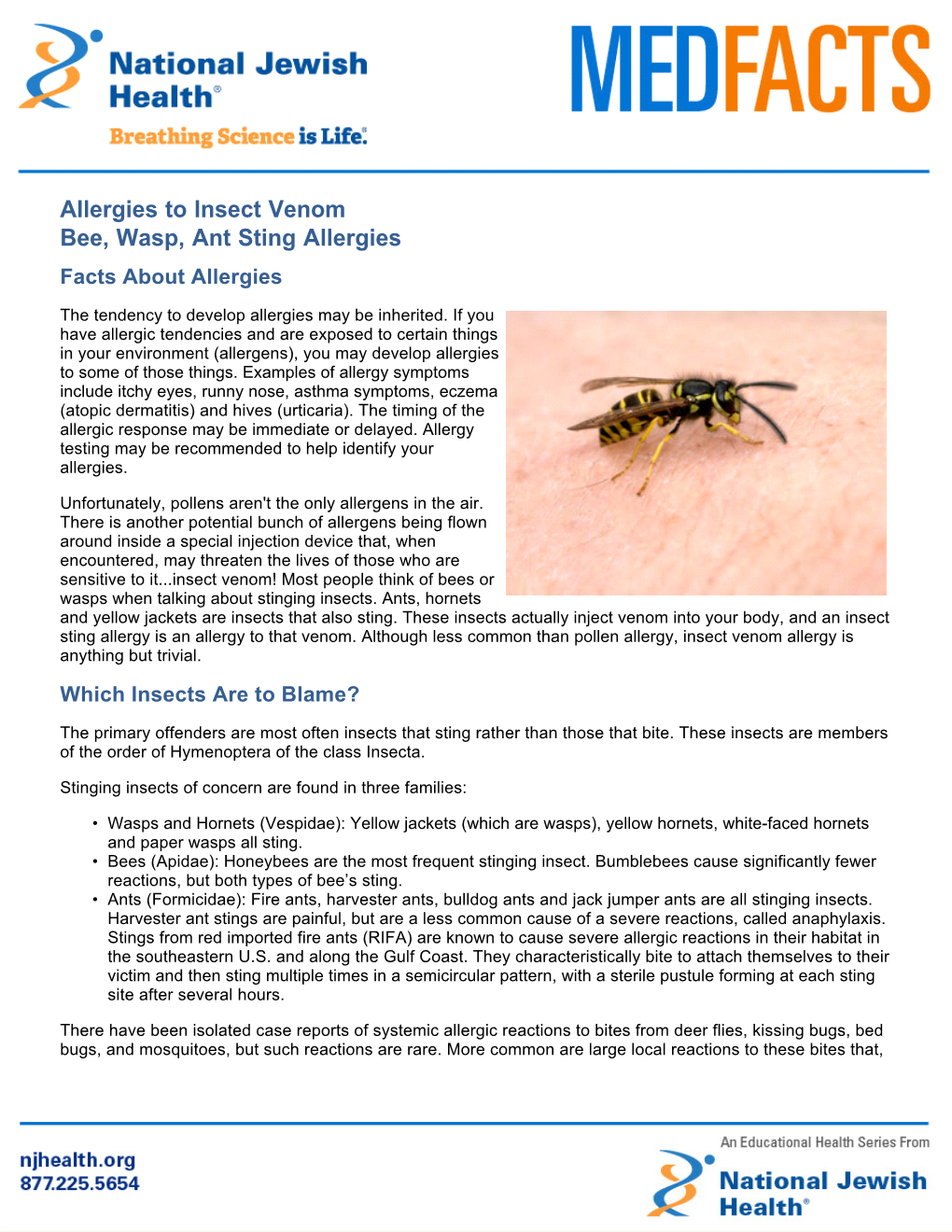 Allergies to Insect Venom Bee, Wasp, Ant Sting Allergies Facts About Allergies