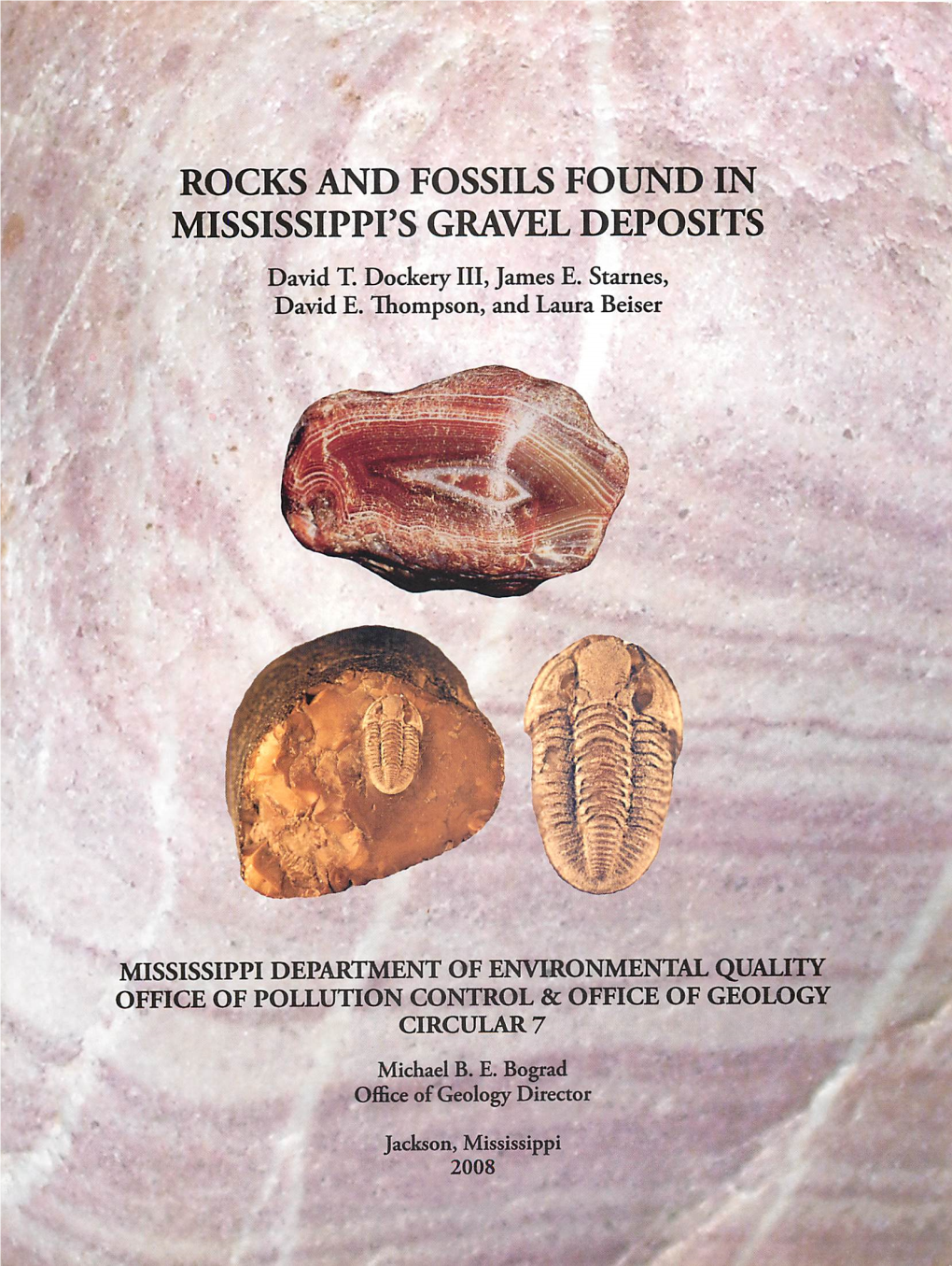 ROCKS and FOSSILS FOUND in MISSISSIPPI's GRAVEL DEPOSITS David T