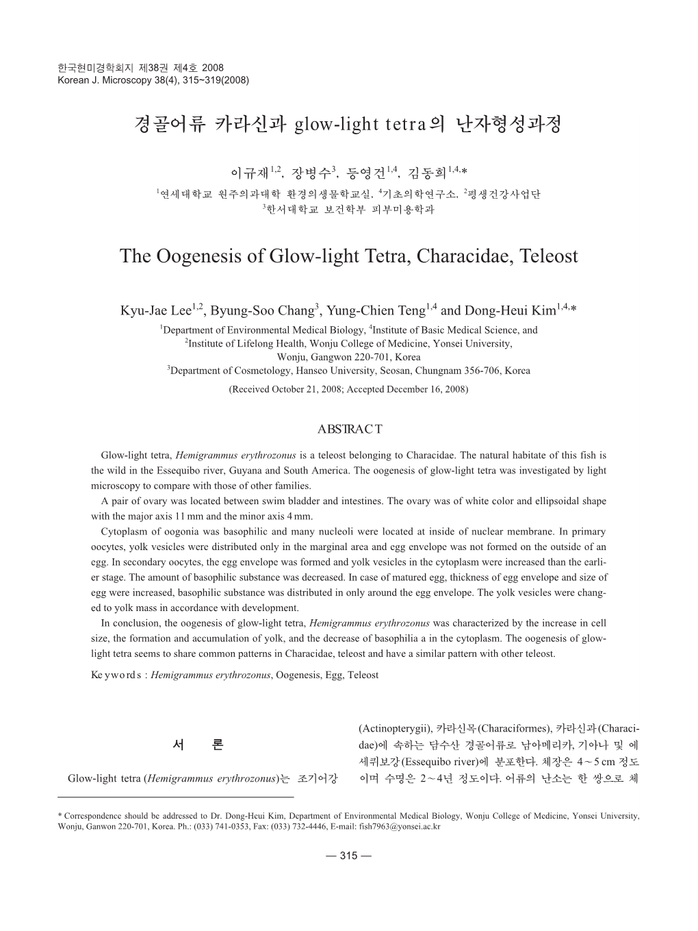 경골어류 카라신과 Glow-Light Tetra의 난자형성과정