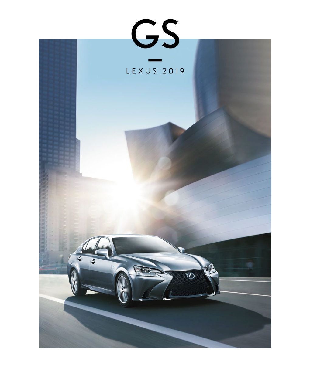 2019 Gs Brochure