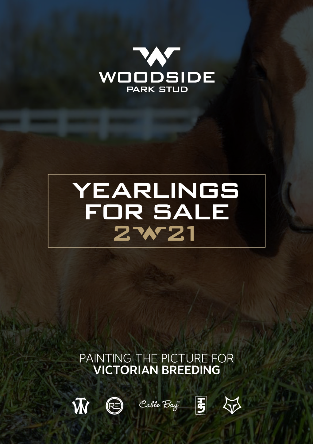Yearlings for Sale 2 21
