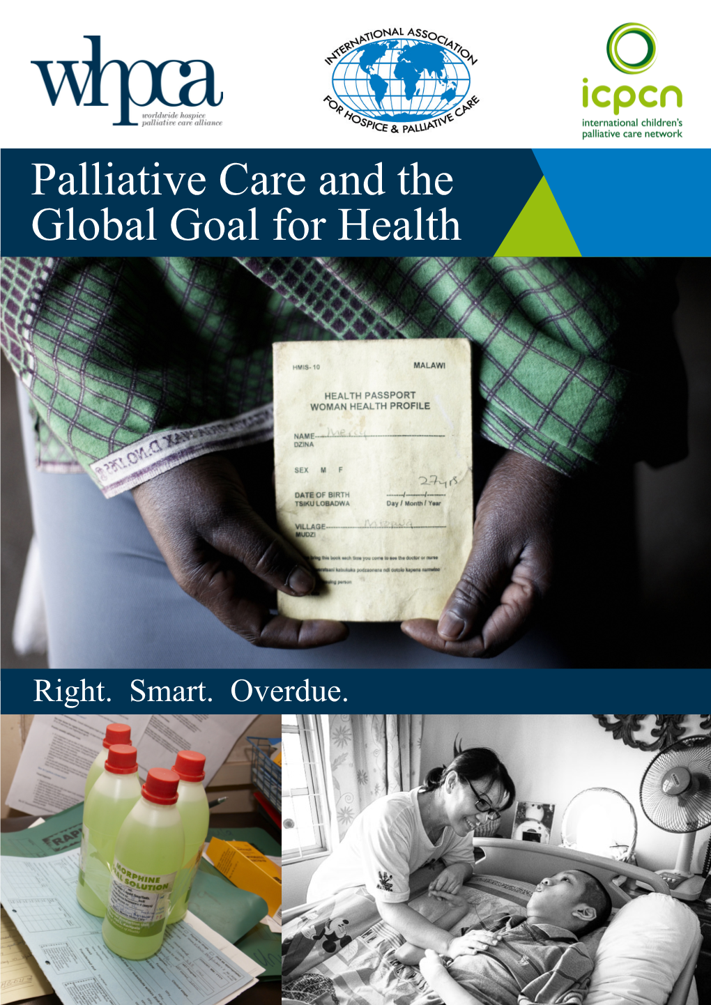 Palliative Care and the Global Goal for Health
