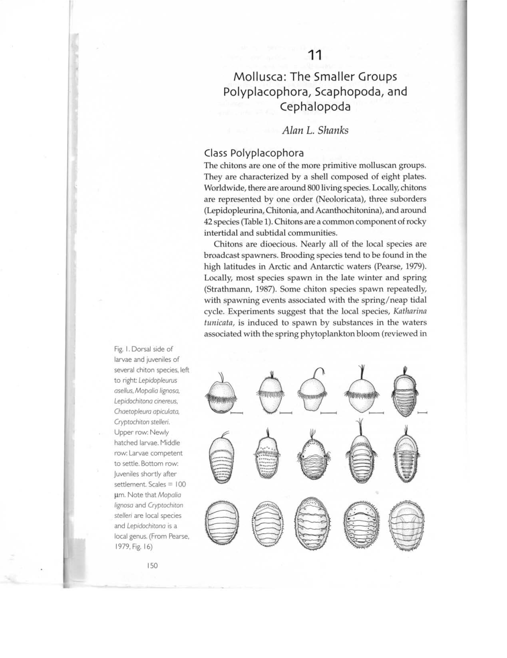 The Smaller Groups Polyplacophora, Scaphopoda, and Cephalopoda Alan L