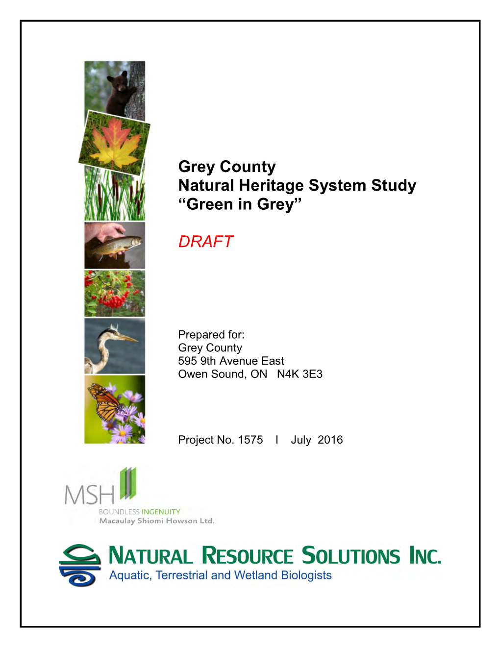 Grey County Natural Heritage System Study “Green in Grey” DRAFT