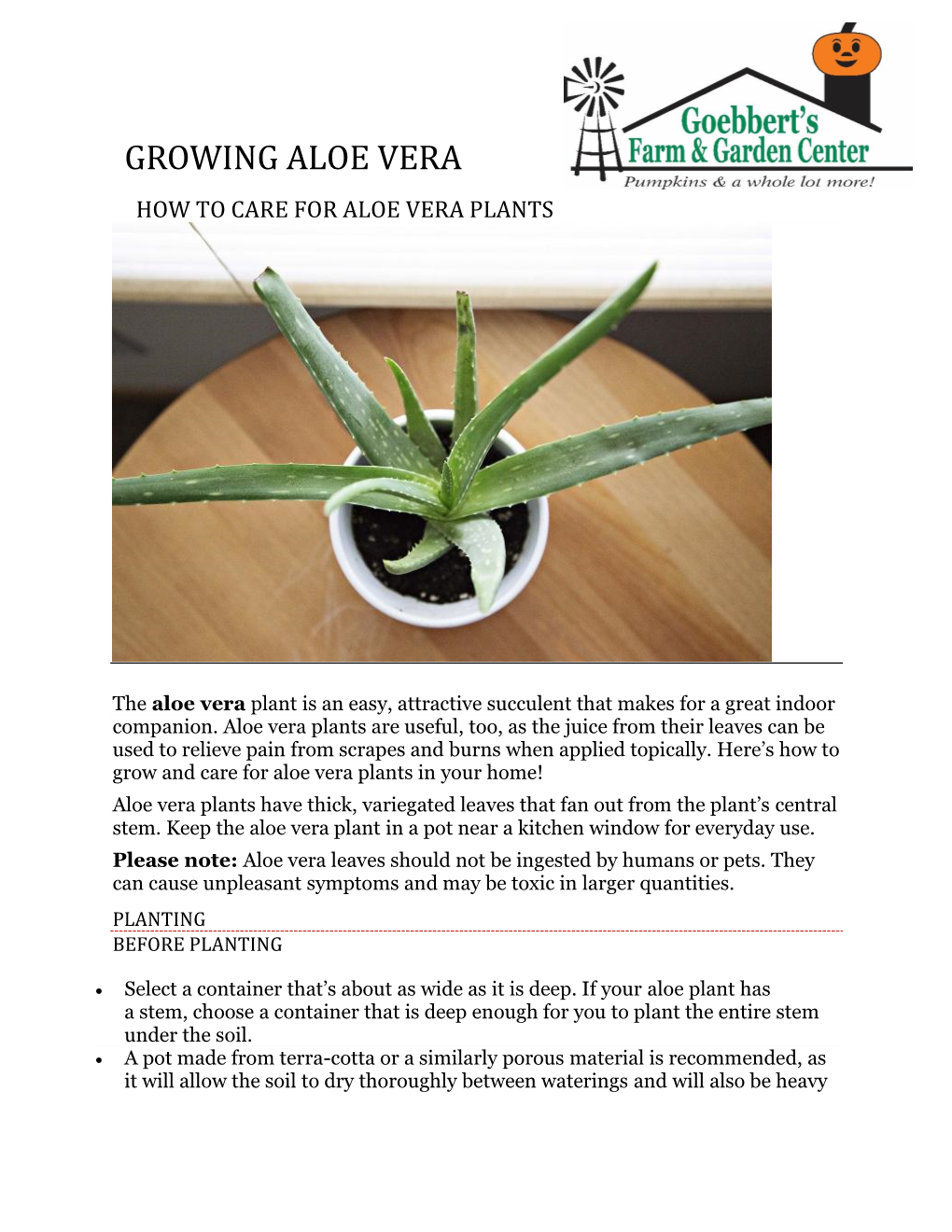 Growing Aloe Vera How to Care for Aloe Vera Plants