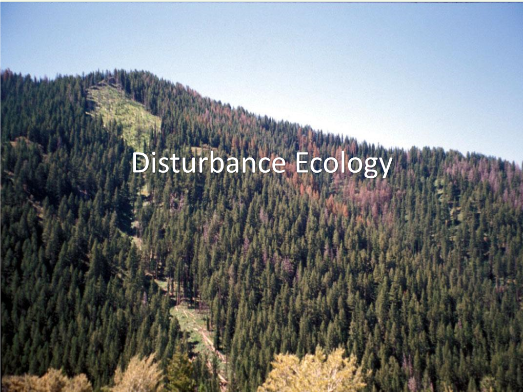 Disturbance Ecology Objectives