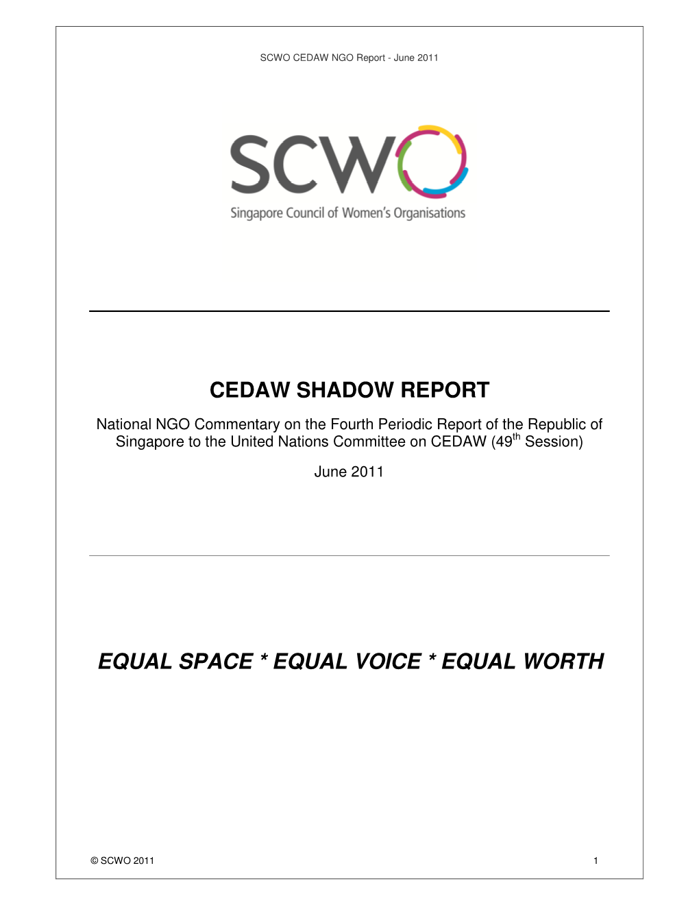 Cedaw Shadow Report