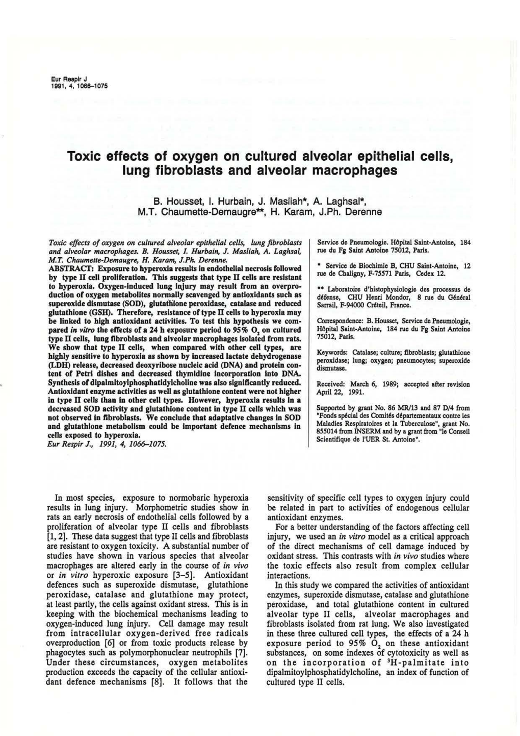 Toxic Effects of Oxygen on Cultured Alveolar Epithelial Cells, Lung Fibroblasts and Alveolar Macrophages