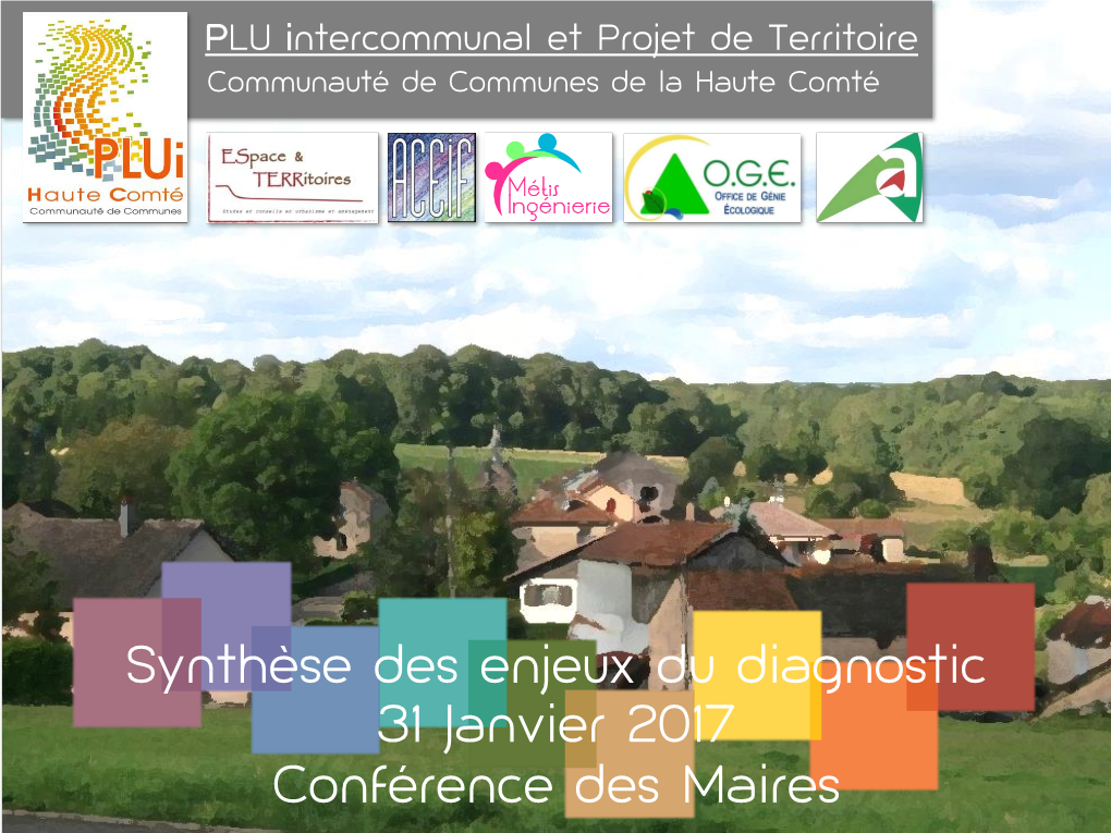 Synthèse Des Enjeux Du Diagnostic 31 Janvier 2017 Conférence Des Maires Procédure