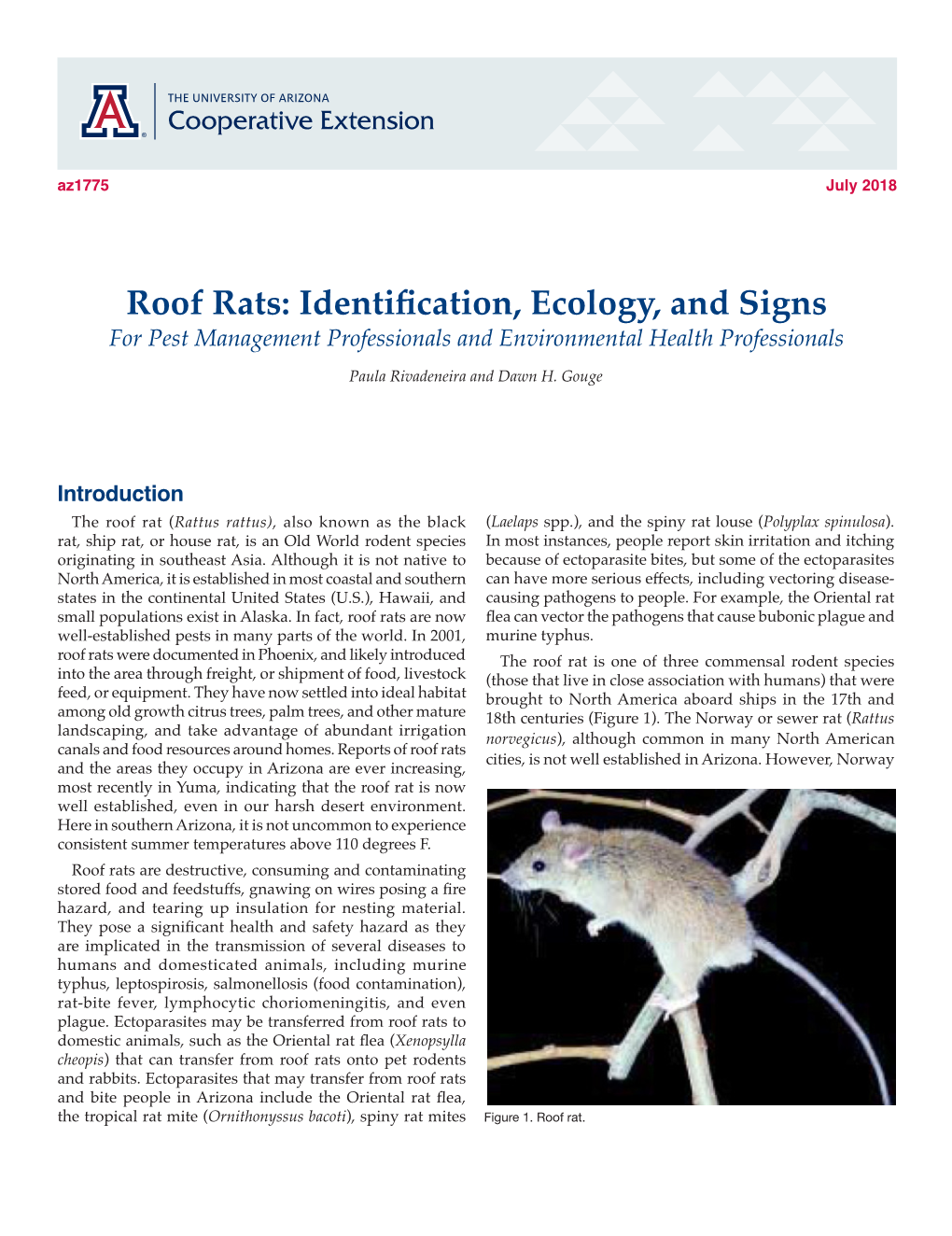 Roof Rats: Identification, Ecology, and Signs for Pest Management Professionals and Environmental Health Professionals