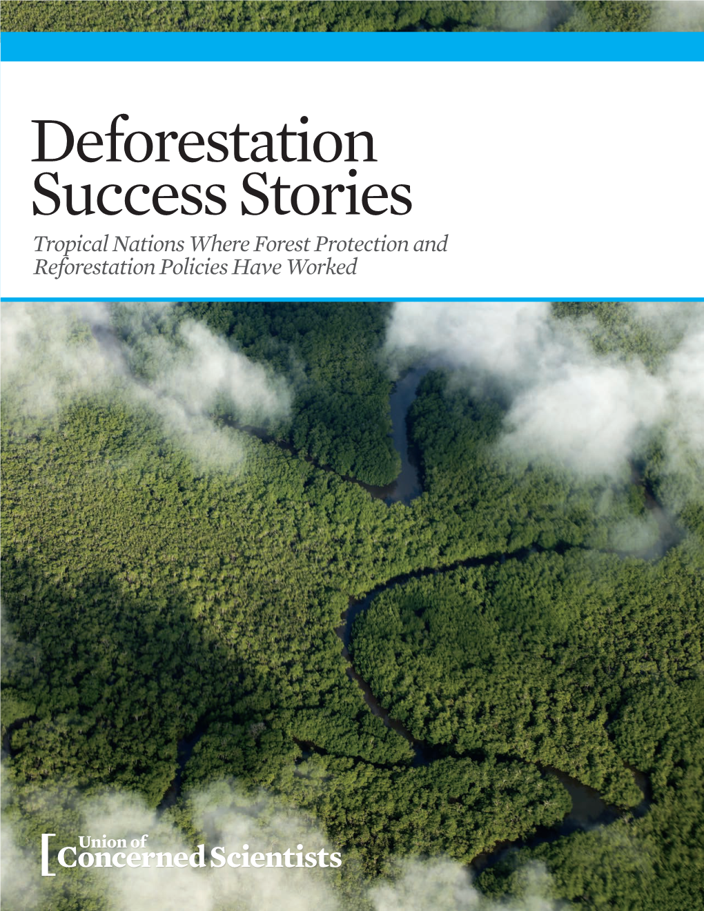 Deforestation Success Stories Tropical Nations Where Forest Protection and Reforestation Policies Have Worked