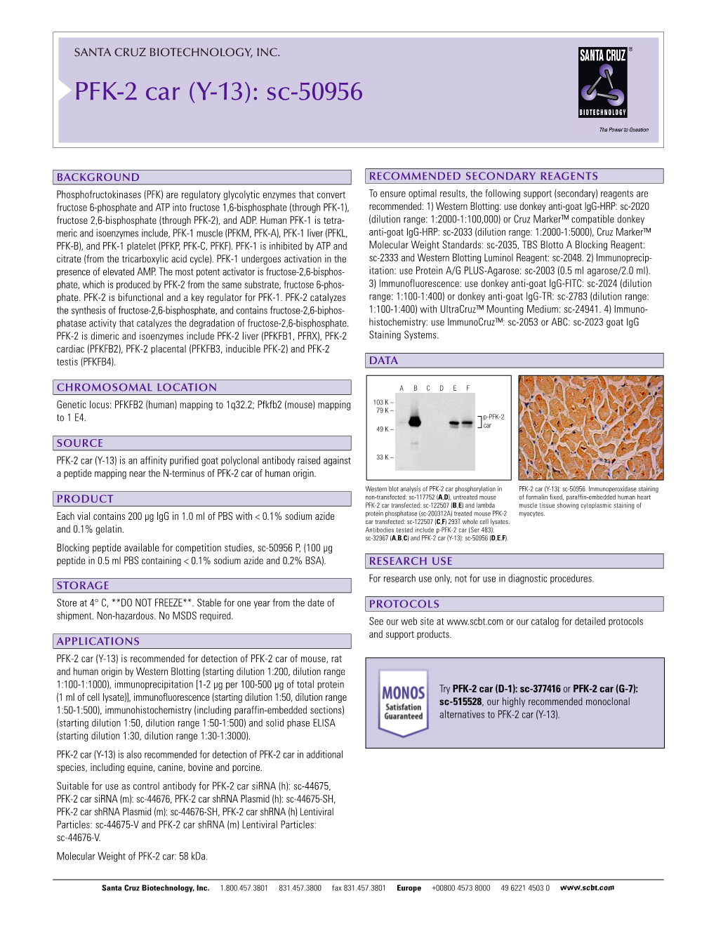 Datasheet Blank Template