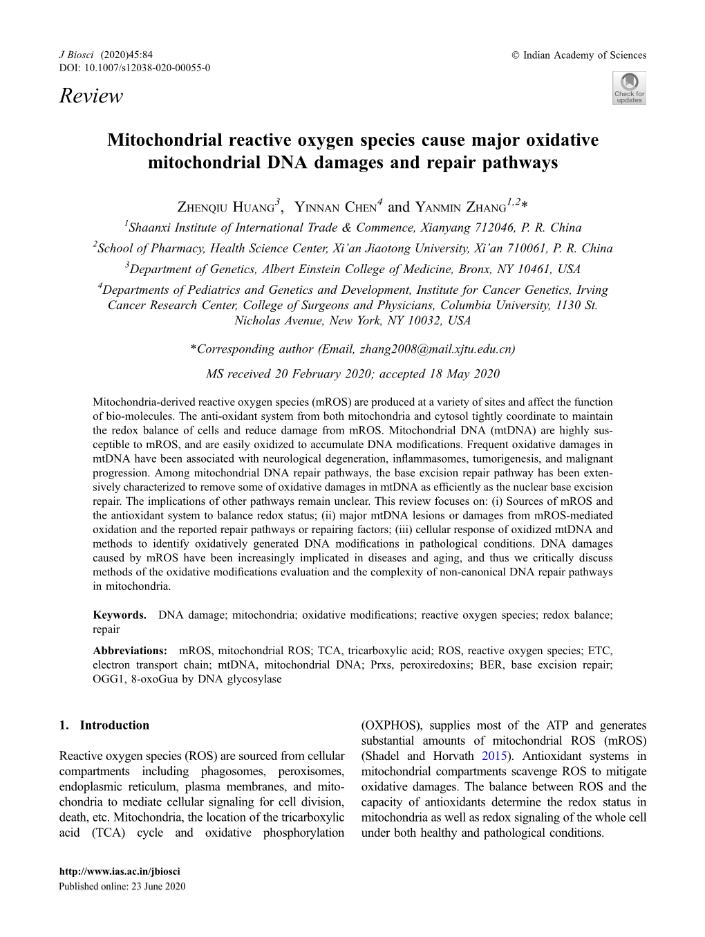 Mitochondrial Reactive Oxygen Species Cause Major Oxidative Mitochondrial DNA Damages and Repair Pathways