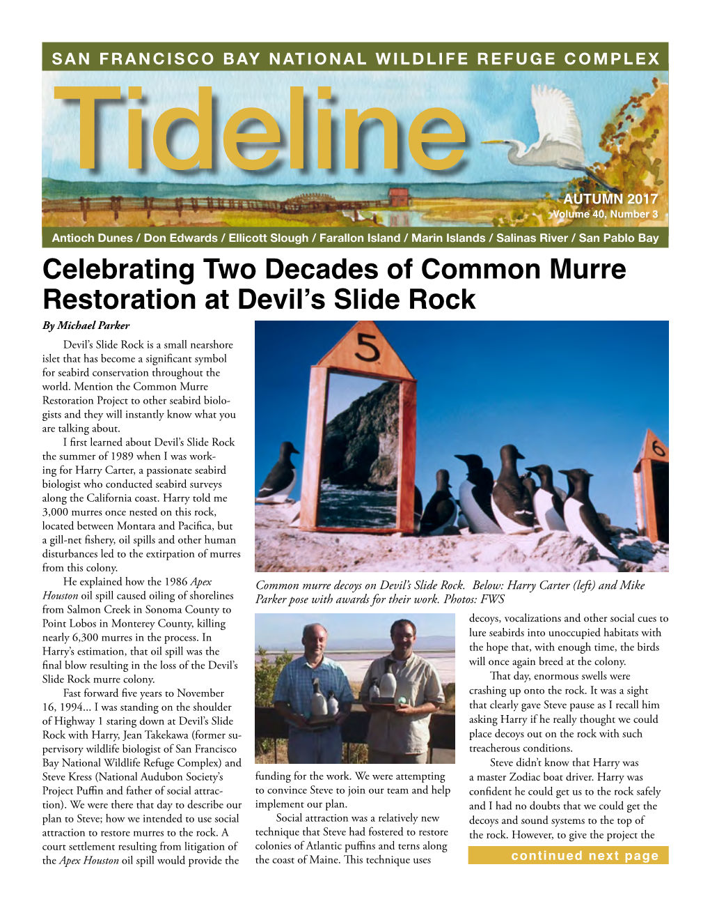 Celebrating Two Decades of Common Murre Restoration at Devil's Slide