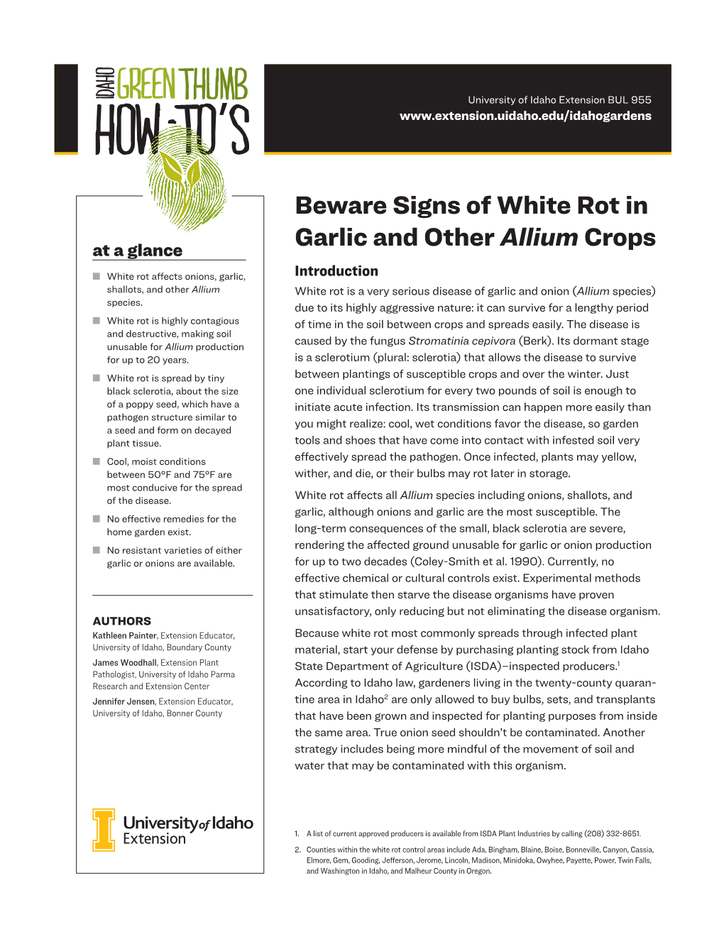 Beware Signs of White Rot in Garlic and Other Allium Crops