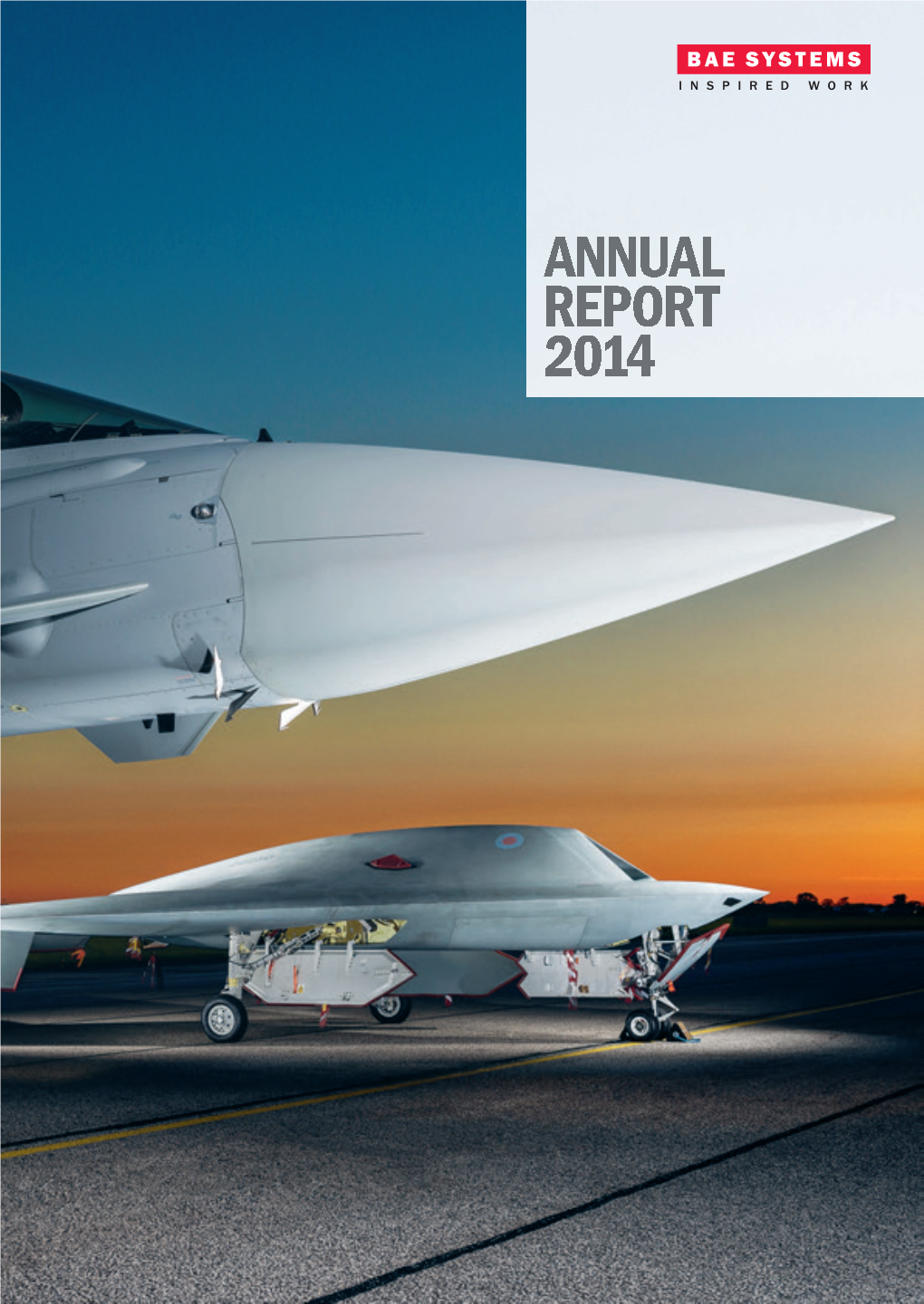 Annual Report 2014