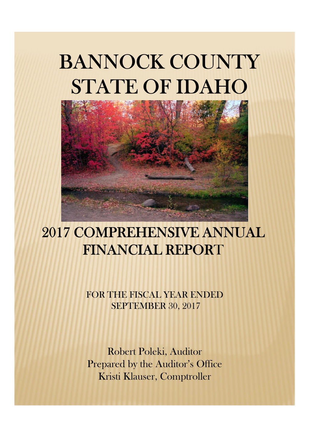 2017 Financial Report