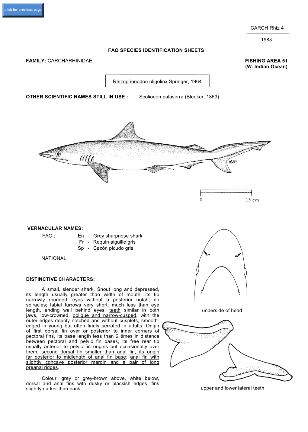 CARCH Rhiz 4 1983 FAO SPECIES IDENTIFICATION SHEETS FAMILY: CARCHARHINIDAE FISHING AREA 51 (W. Indian Ocean) Rhizoprionodon Olig