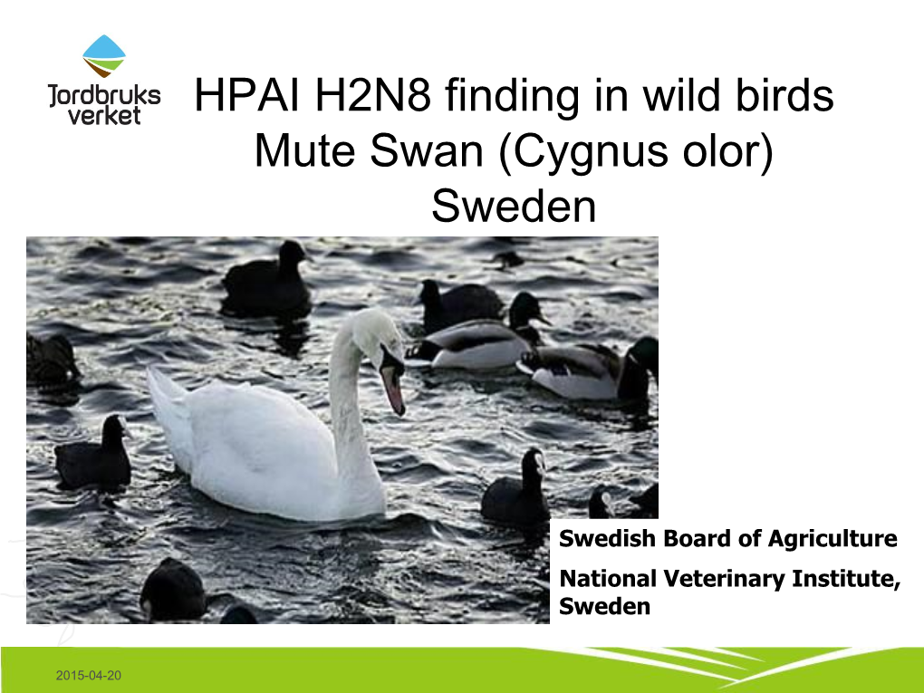 HPAI H2N8 Finding in Wild Birds Mute Swan (Cygnus Olor) Sweden