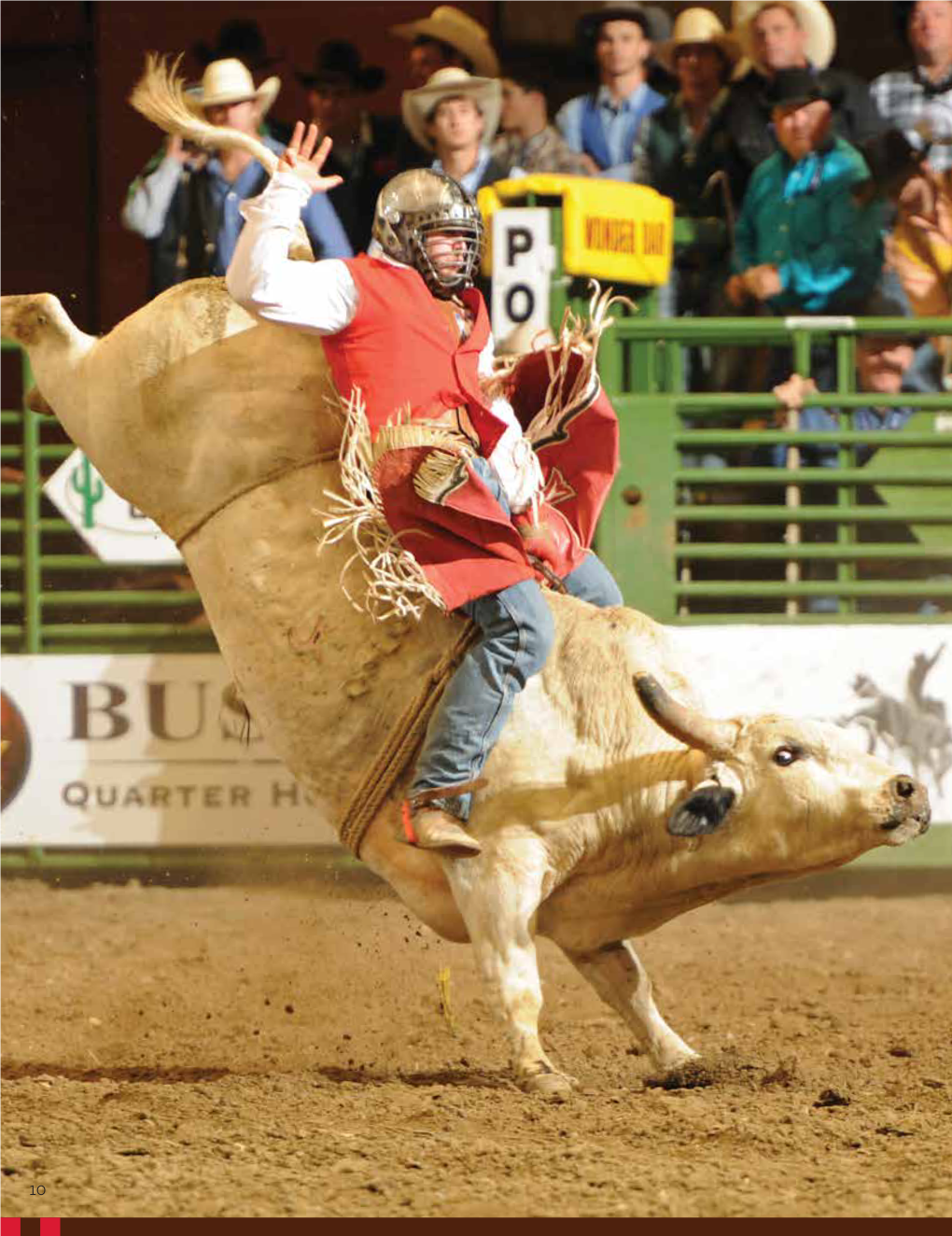 Dan Hubbell: Rodeo Photographer Extraordinaire by Lisa S