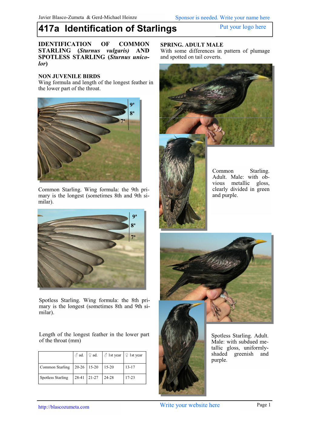 417A Identification of Starlings Put Your Logo Here