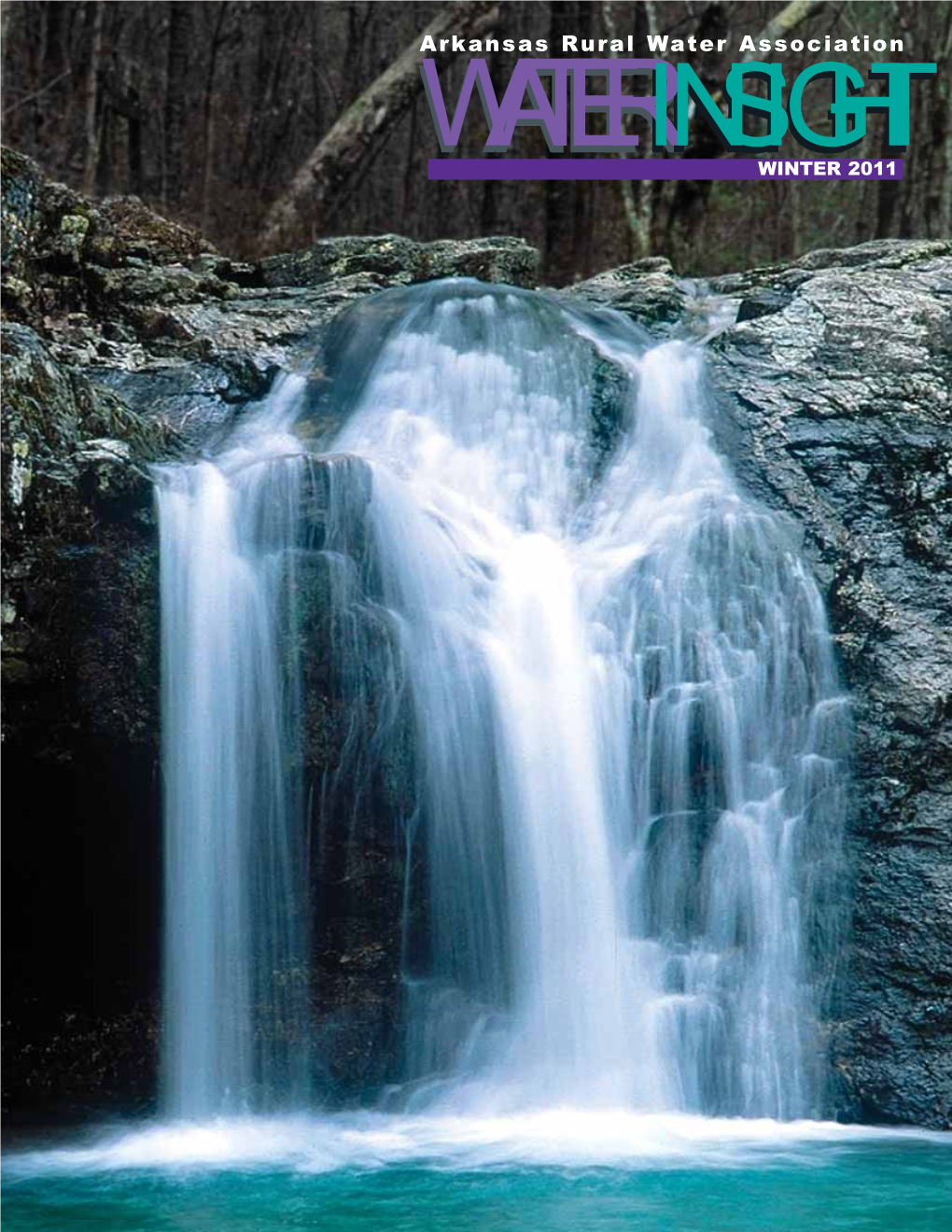 WATERINSIGHTINSIGHT WINTER 2011 from YOUR EXECUTIVE DIRECTOR Dennis Sternberg