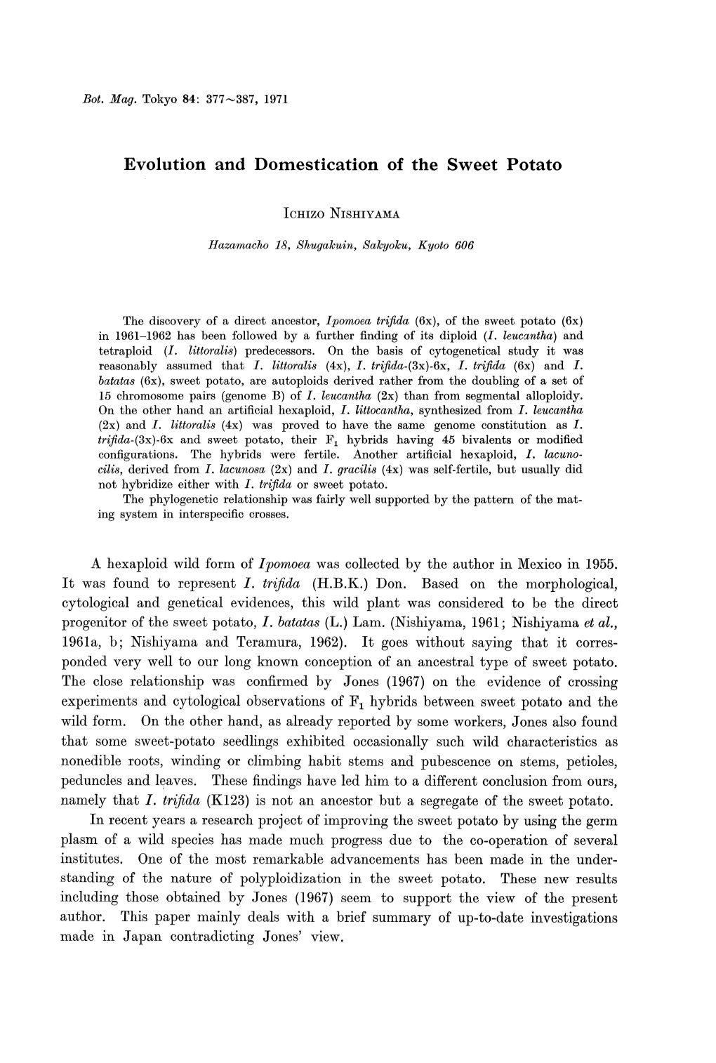 A Hexaploid Wild Form of Ipomoea Was Collected by the Author in Mexico in 1955