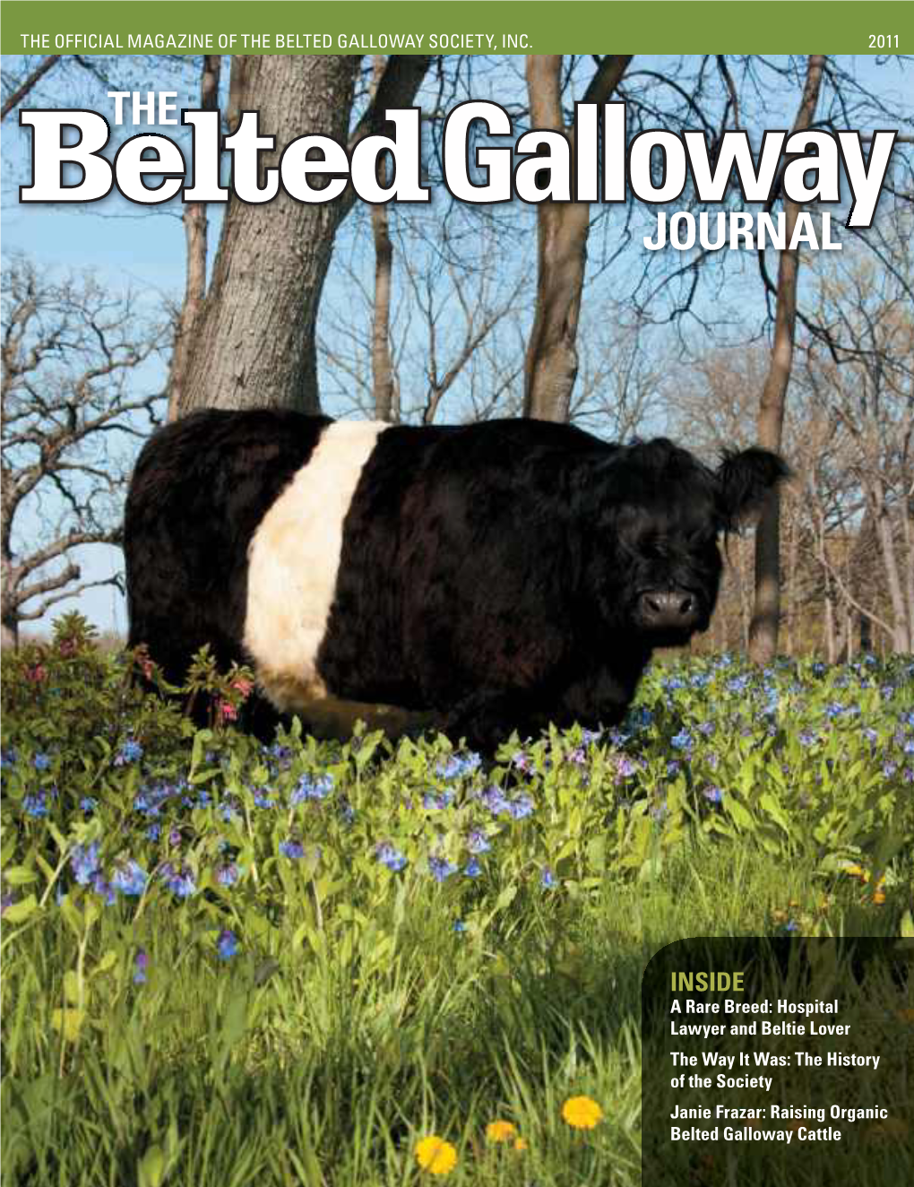 Belted Galloway Journal