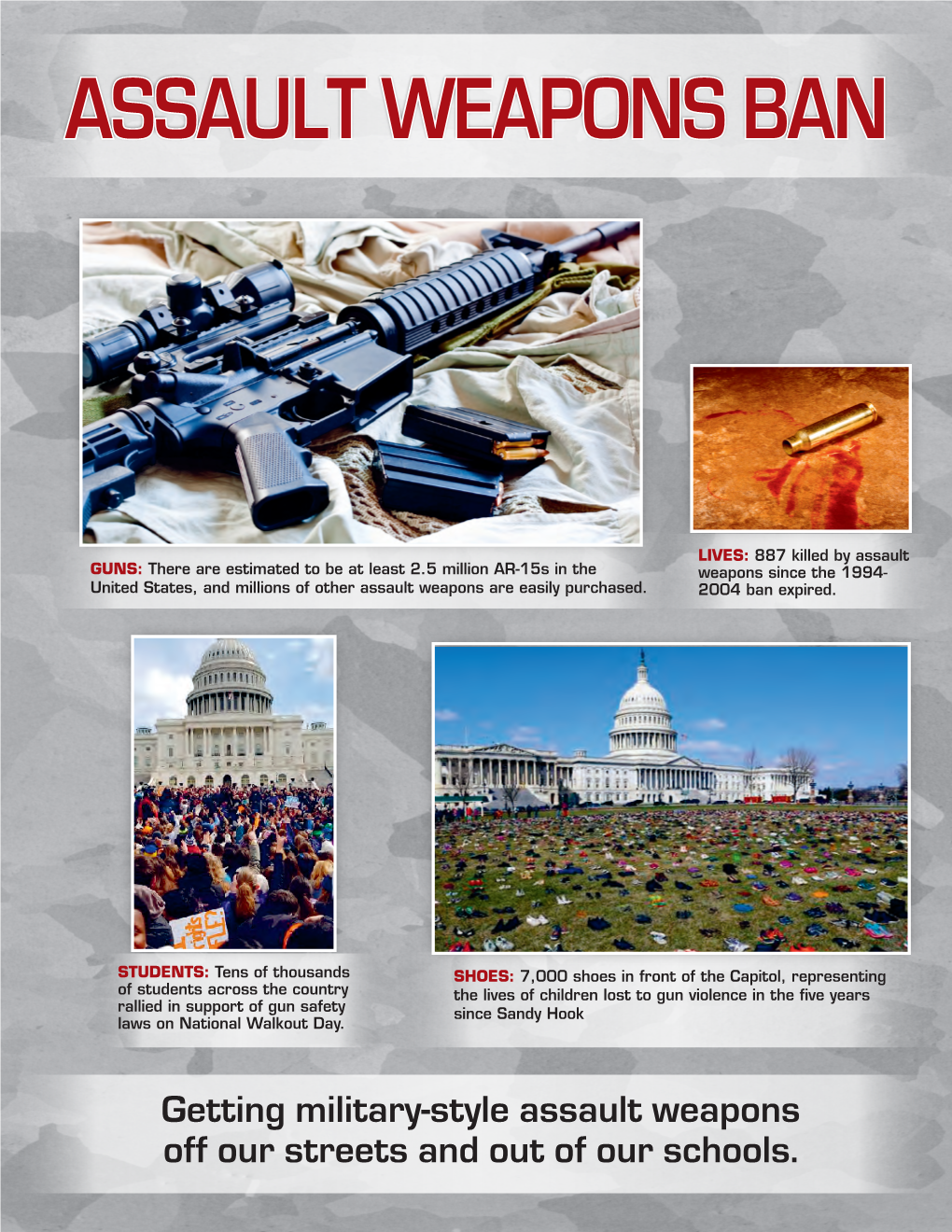 Assault Weapons Ban