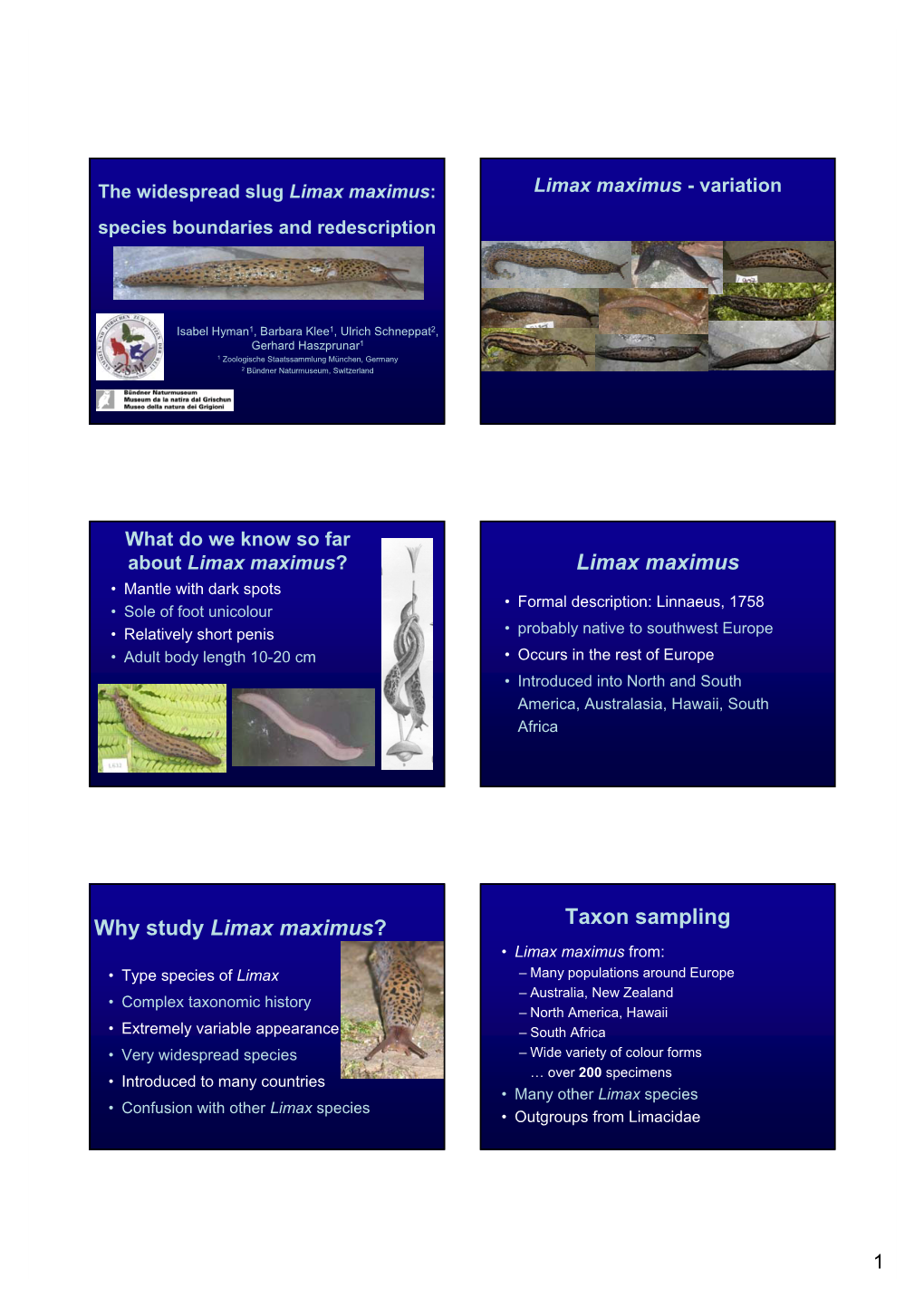 Limax Maximus Why Study Limax Maximus? Taxon Sampling