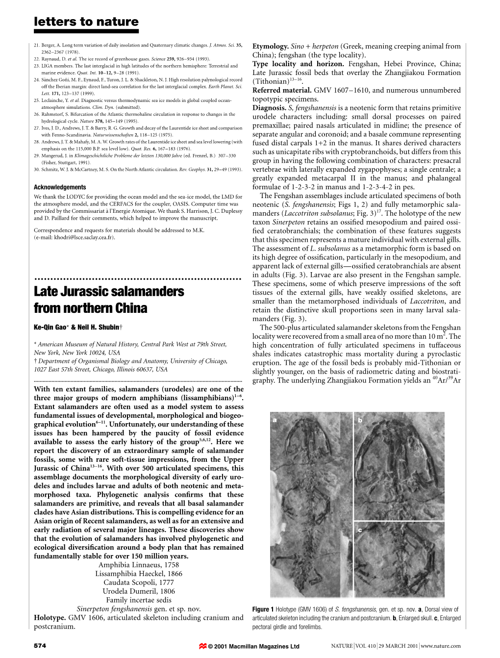 Late Jurassic Salamanders from Northern China