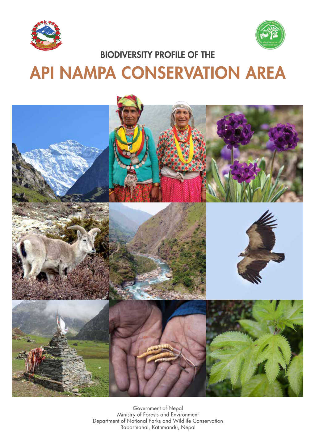 Biodiversity Profile of Api Nampa Conservation Area