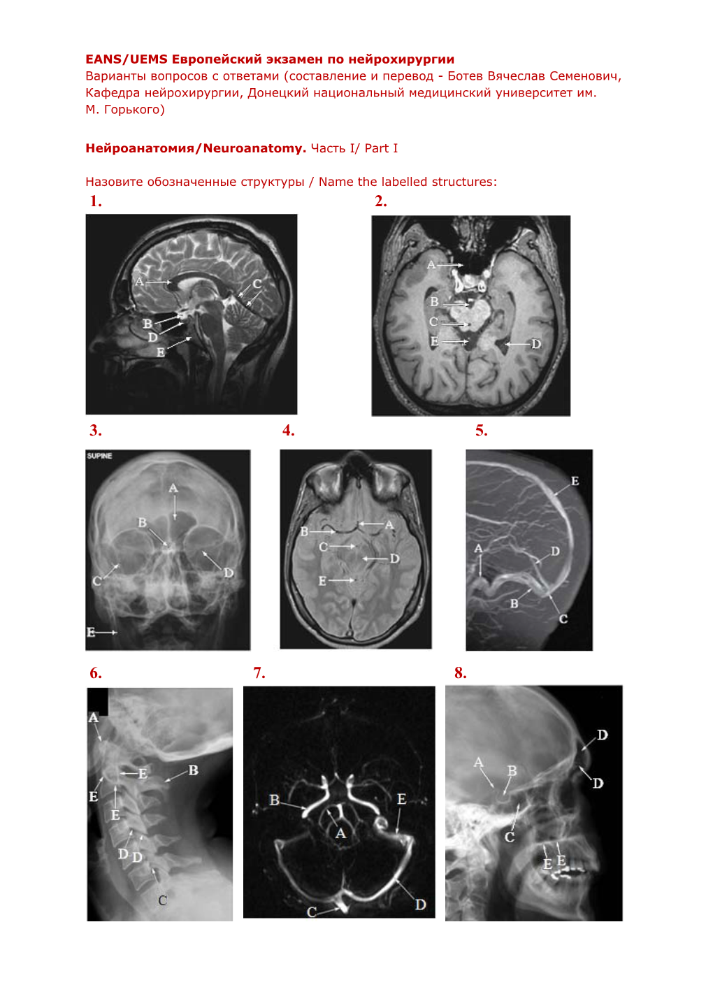 Нейроанатомия/Neuroanatomy