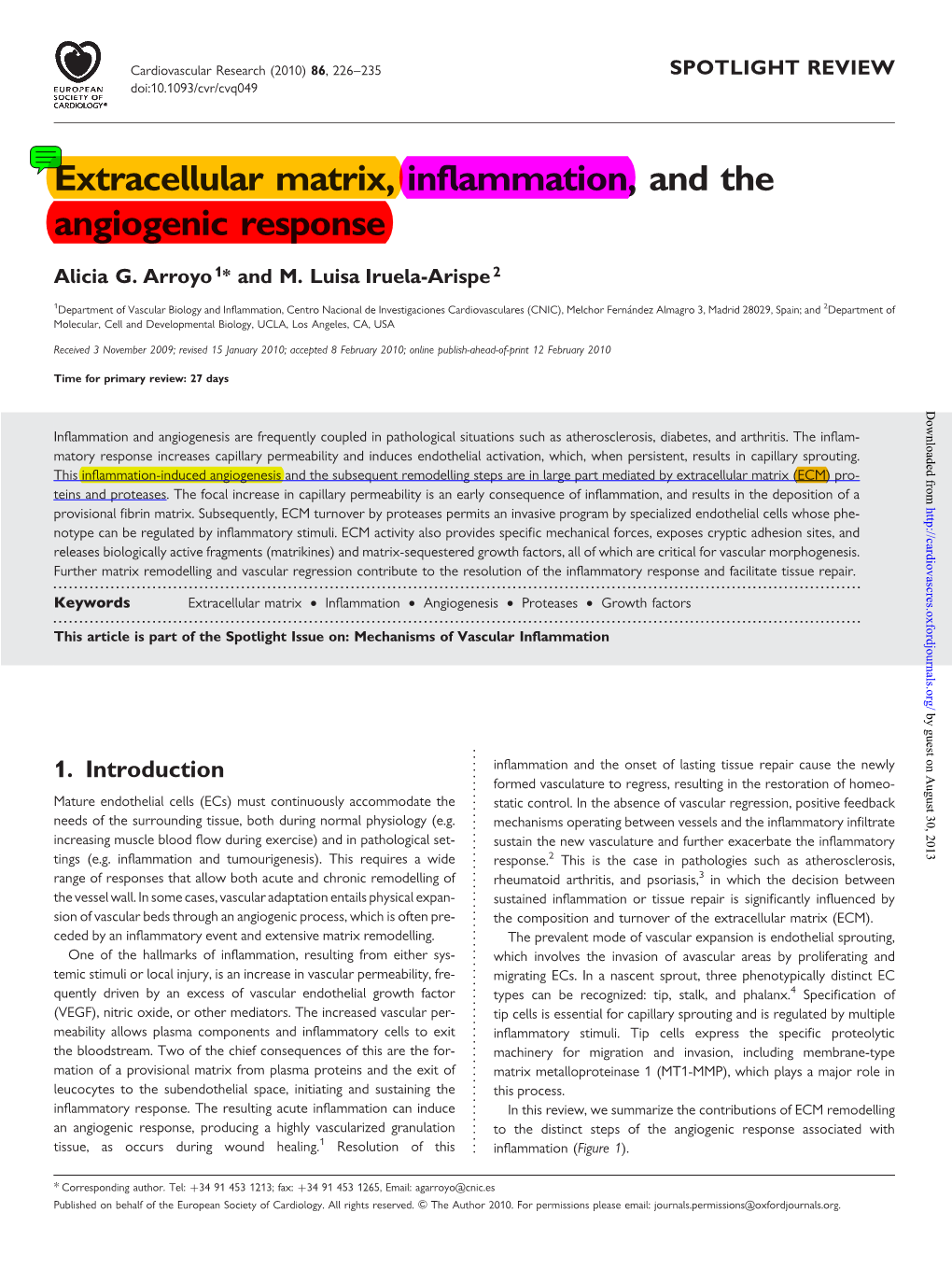 Extracellular Matrix, Inflammation, and the Angiogenic Response